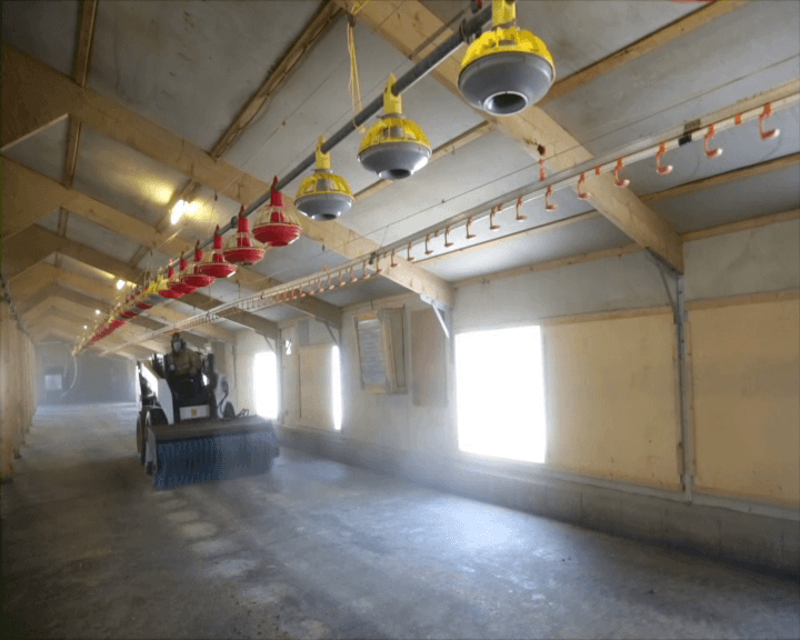 Mucking Out, Poultry House Cleaning Services Pedersen