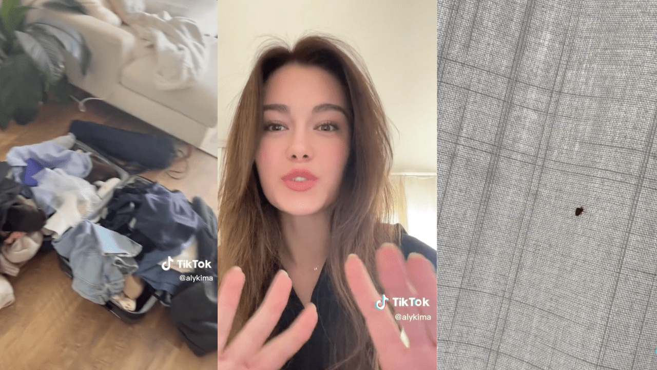 Bed Bugs Tiktoker Goes Viral For Sharing Ordeal & Hotel Room Tips