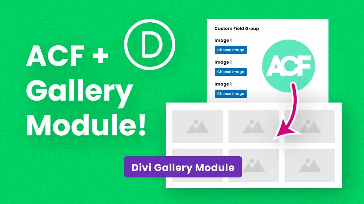 How To Display Images In The Divi Gallery Module With Advanced Custom