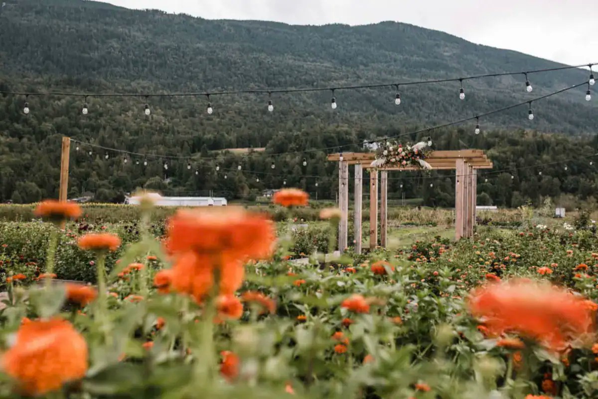 12 Creative Outdoor Easter Mini Session Ideas Peerspace