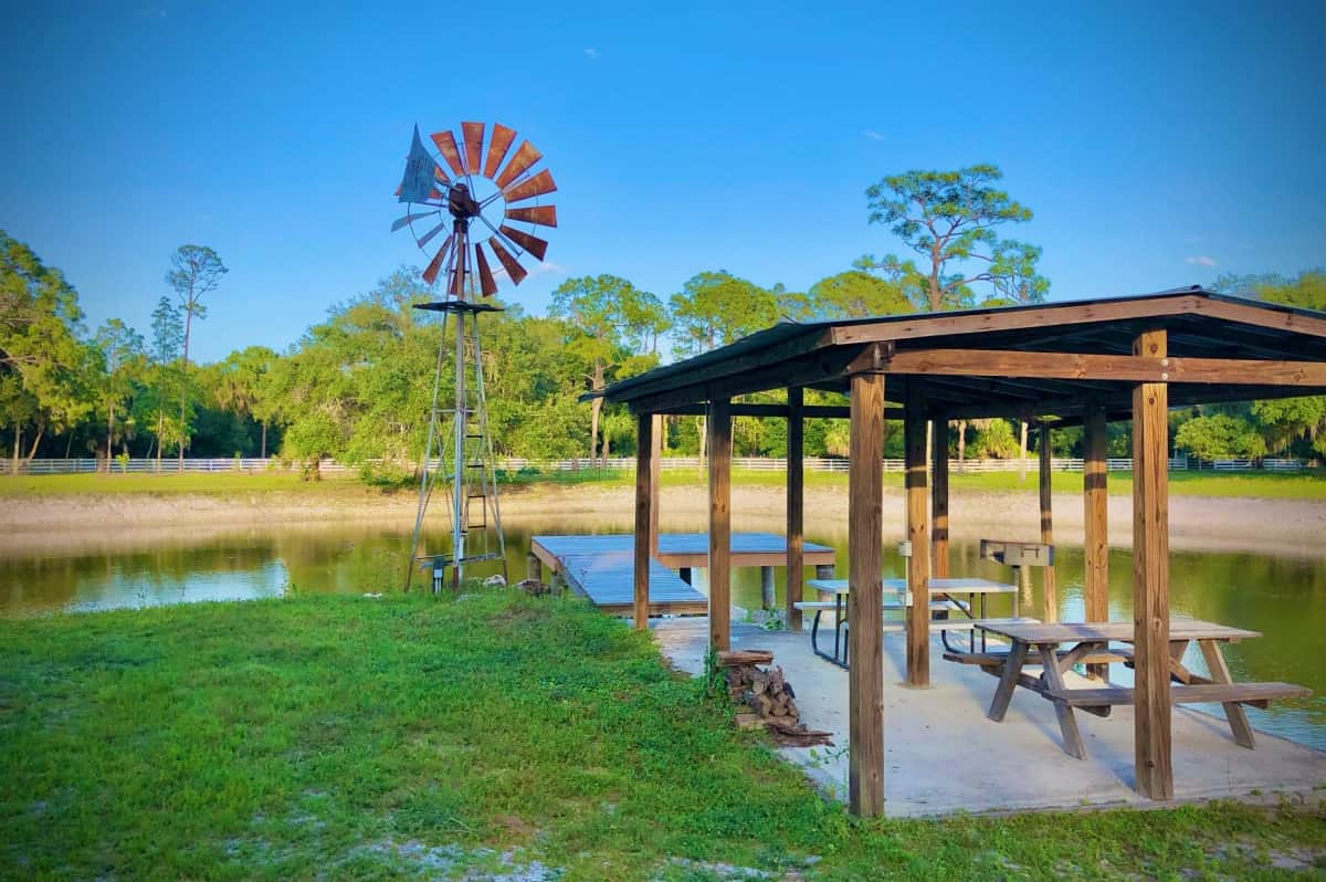 12 Lovely October Baby Shower Ideas To Celebrate MamaToBe (2024