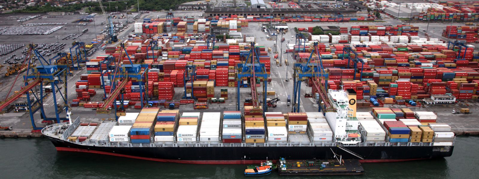 Pegasus Marine Port Services Import Export Ltd.
