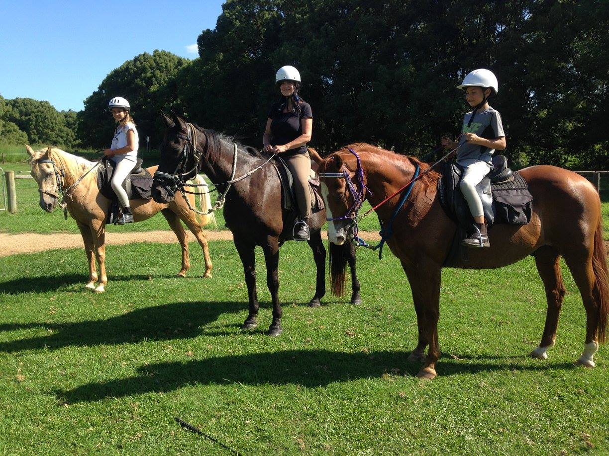 Beach Horse Rides Byron Lennox Gold Coast Brisbane Pegasus Park