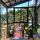 Baguio Airbnb with Pine Trees