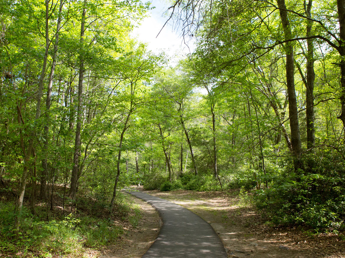 Pelham Falls Neighborhood