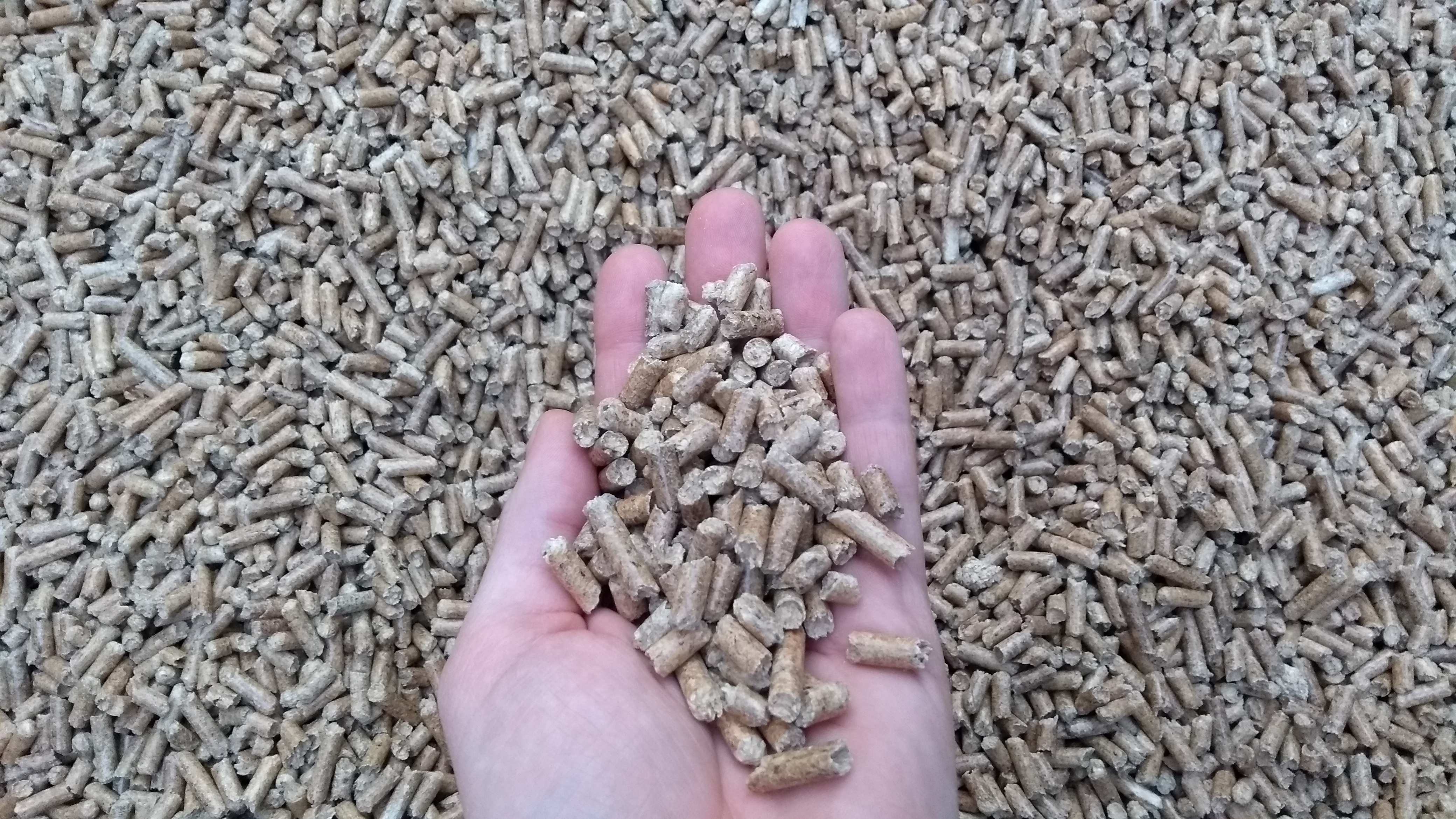 What Are The Different Grades of Wood Pellets? (Premium to Utility)