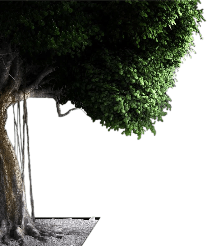 tree_short Pelican Wireless Systems