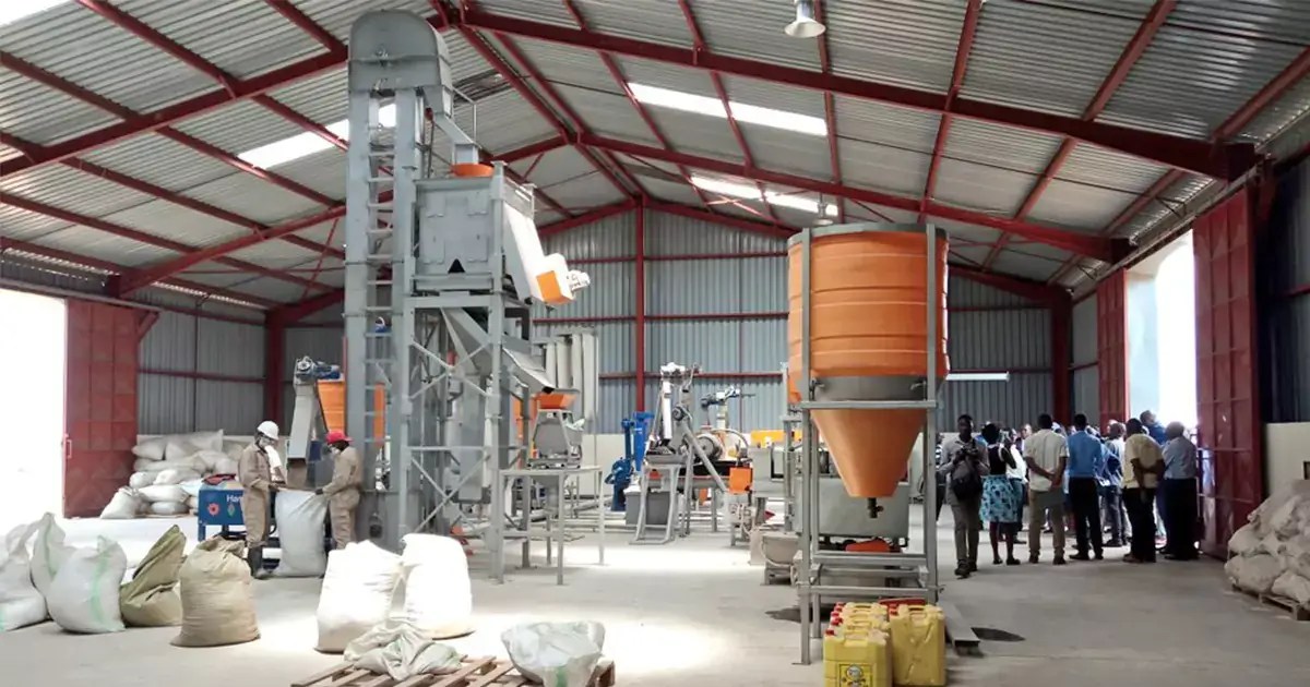 Animal Feed Business Plan How To Start And How Profitable