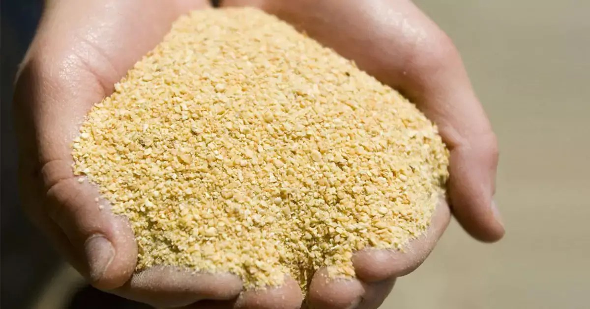 How To Mix Chicken Feed 4 Best Chicken Feed Ingredients