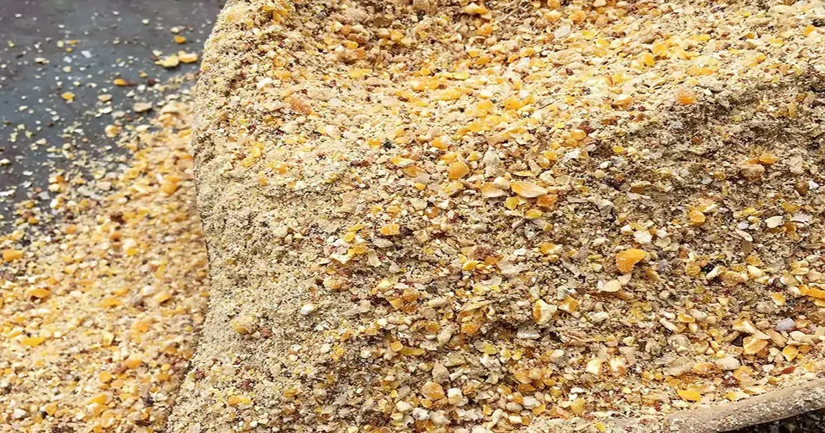 How To Mix Chicken Feed 4 Best Chicken Feed Ingredients