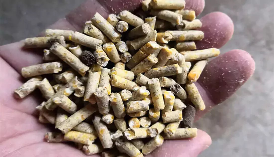 Sinking Fish Feed Production Process Formulation, Quality, & Pellet Size