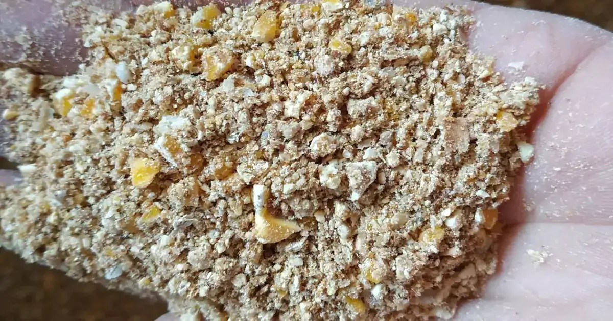 How To Make Chicken Feed At Home For Broilers And Layers