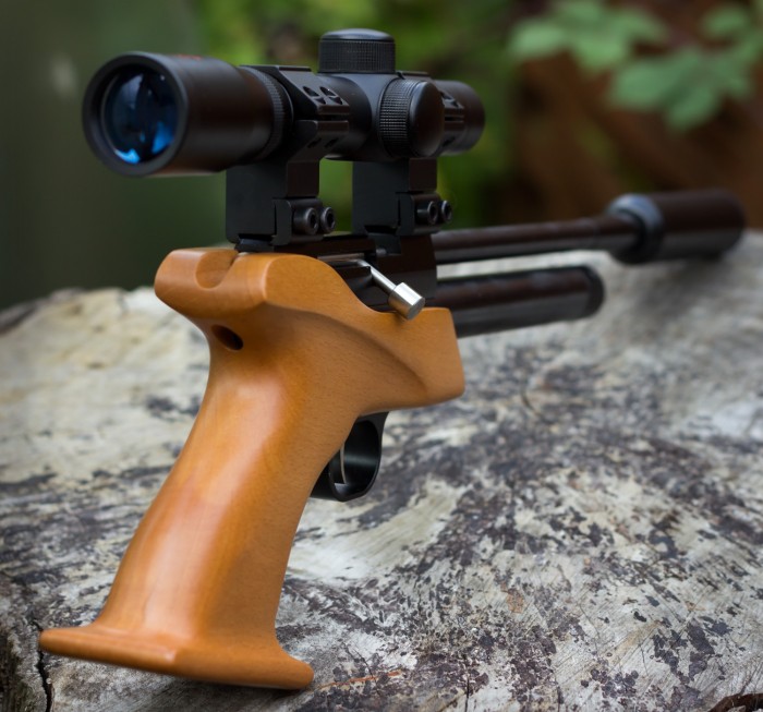 Pistol Pest Control Pellpax Blog