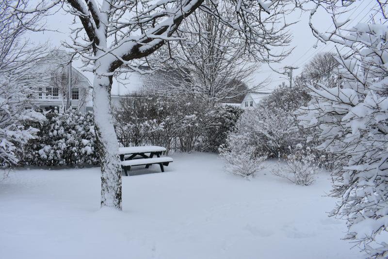 Midcoast Maine snow cancellations and closures for Jan 22 23 storm