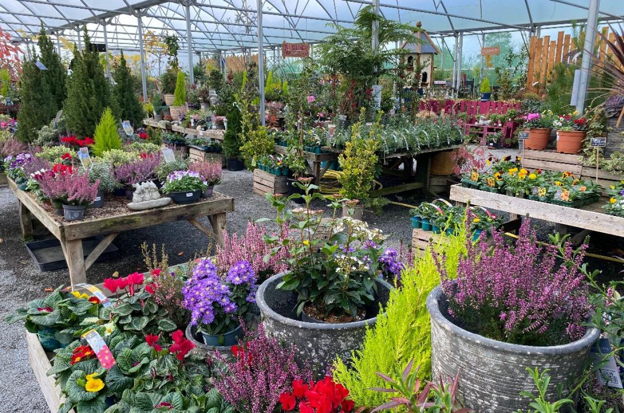 Pengelly Garden Centre St Austell Cornwall