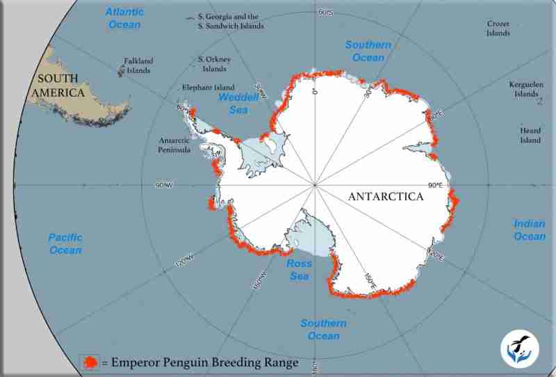 Penguin Map Of The World Emperor Penguins Penguins International