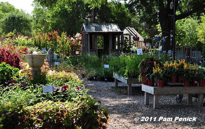 Nursery tour Green 'n Growing Digging