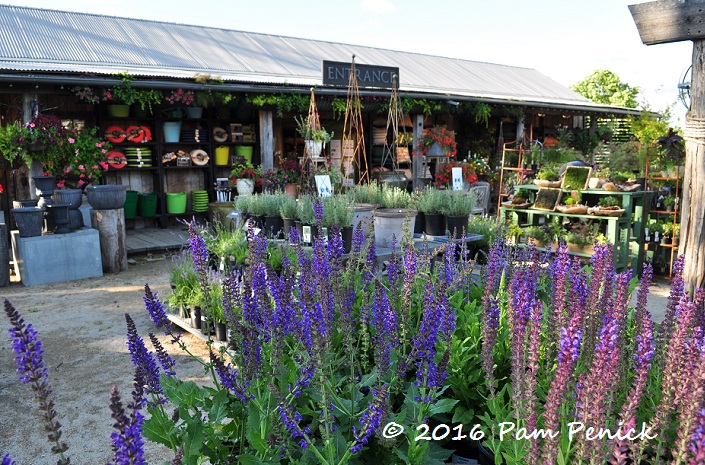 Garden marries home at destination nursery/garden shop Terrain Digging