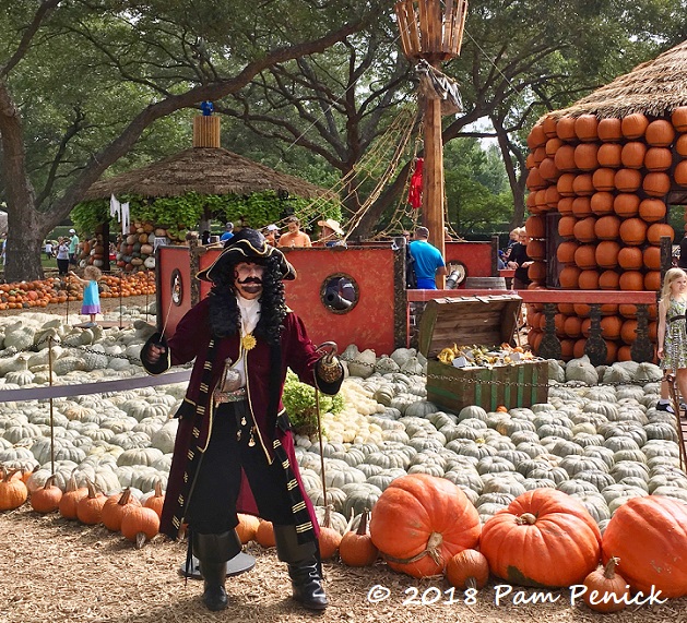 Dallas Arboretum And Botanical Garden Pumpkin Patch 2019 Bios Pics