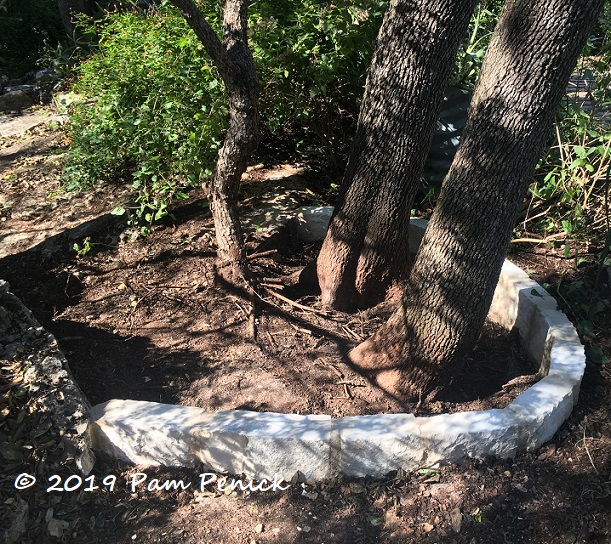 Don't smother your tree trunk. Let it flare! Digging