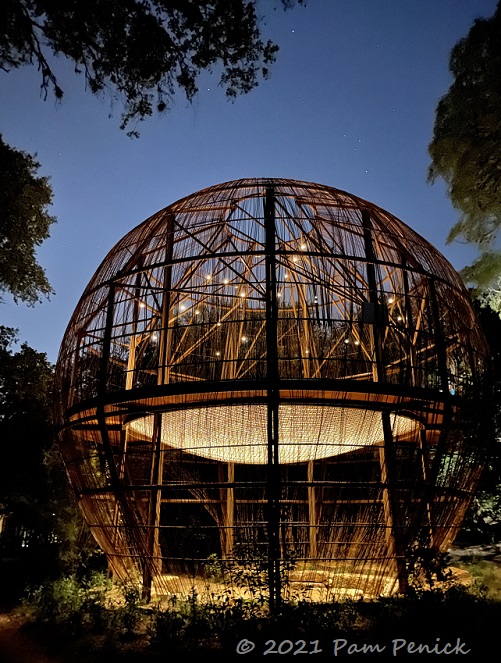 Pease Park after dark Digging