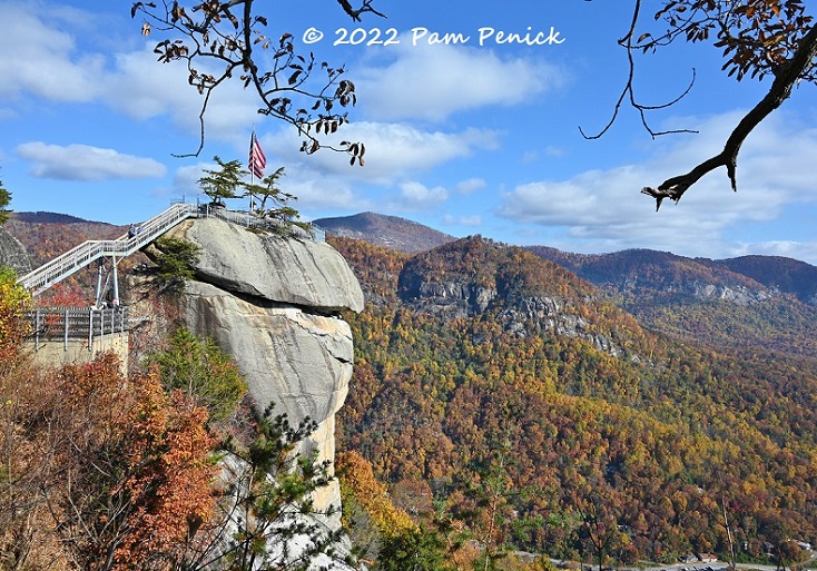 Chimney Rock sorprende con impresionantes vistas Mis Plantas