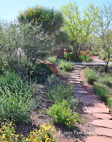 Springtime at Red Hills Desert Garden, part 2 - Digging