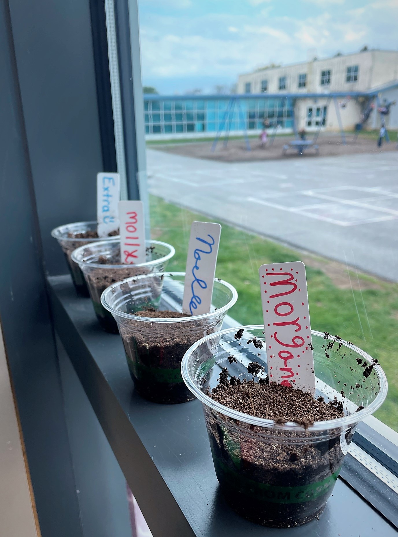 Eshleman Elementary hosts Plant Week Penn Manor School District