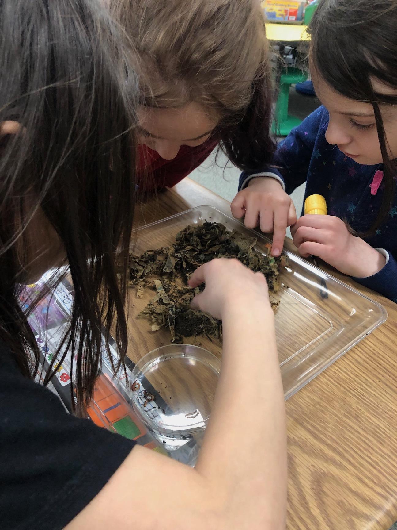 Westmoreland Cleanways Visits School PennTrafford School District