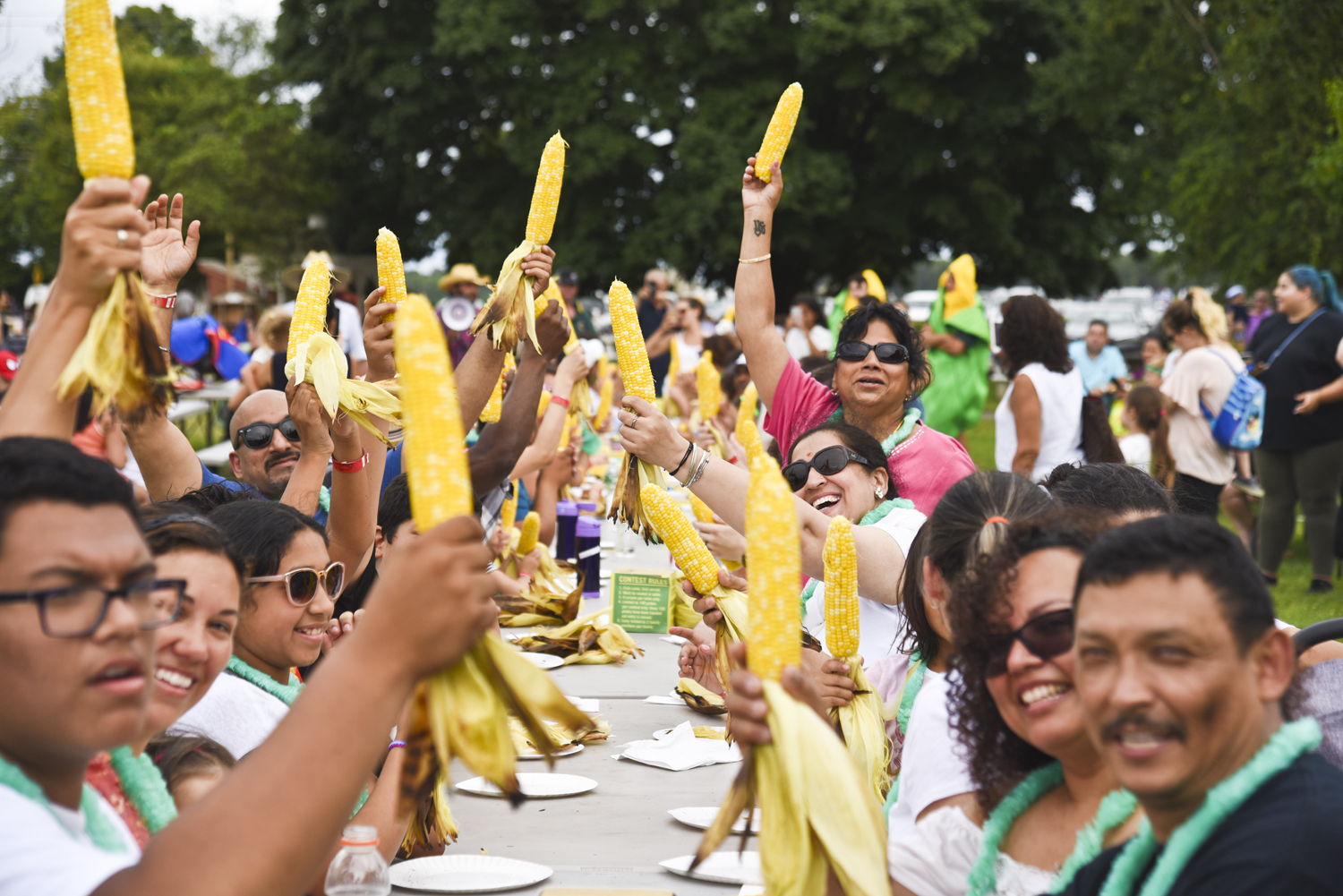 Sweet Corn Festival
