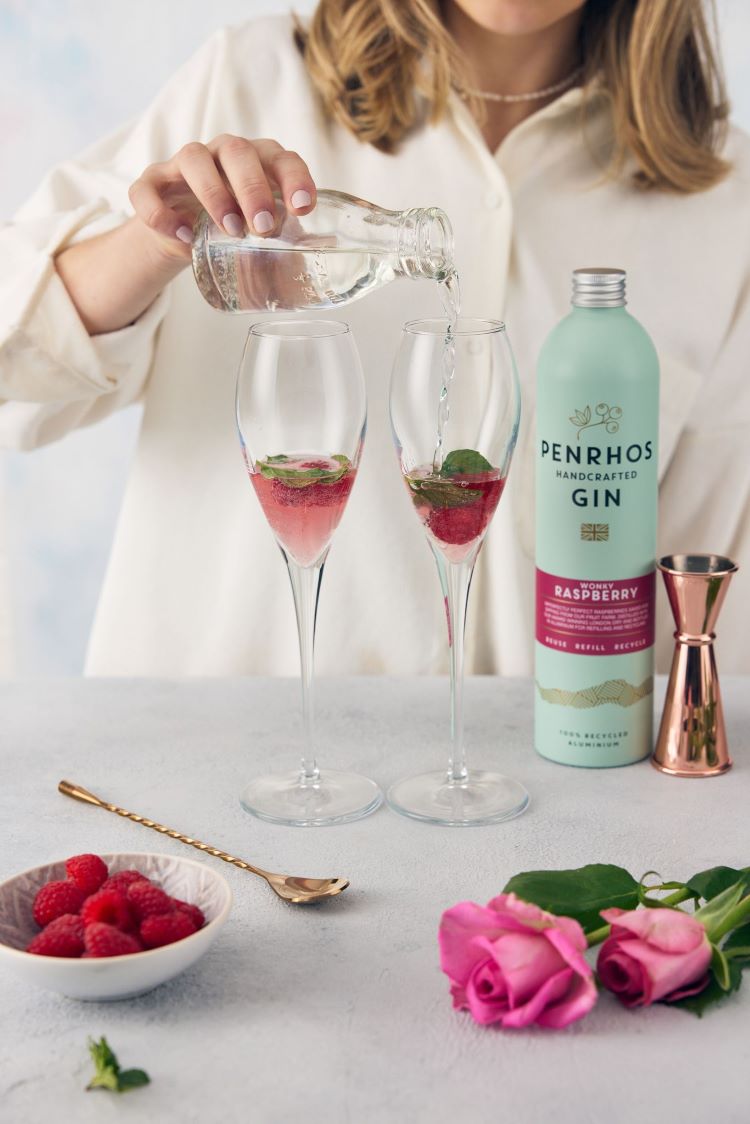 Raspberry Gin Fizz Cocktail Recipe by Penrhos Spirits