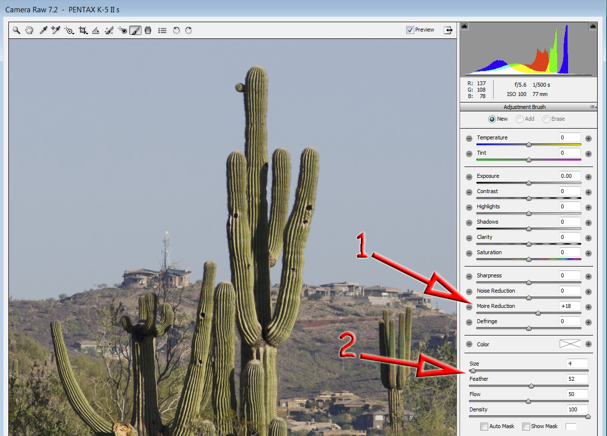 Conquering Moire from the Pentax K5 IIs Articles and Tips