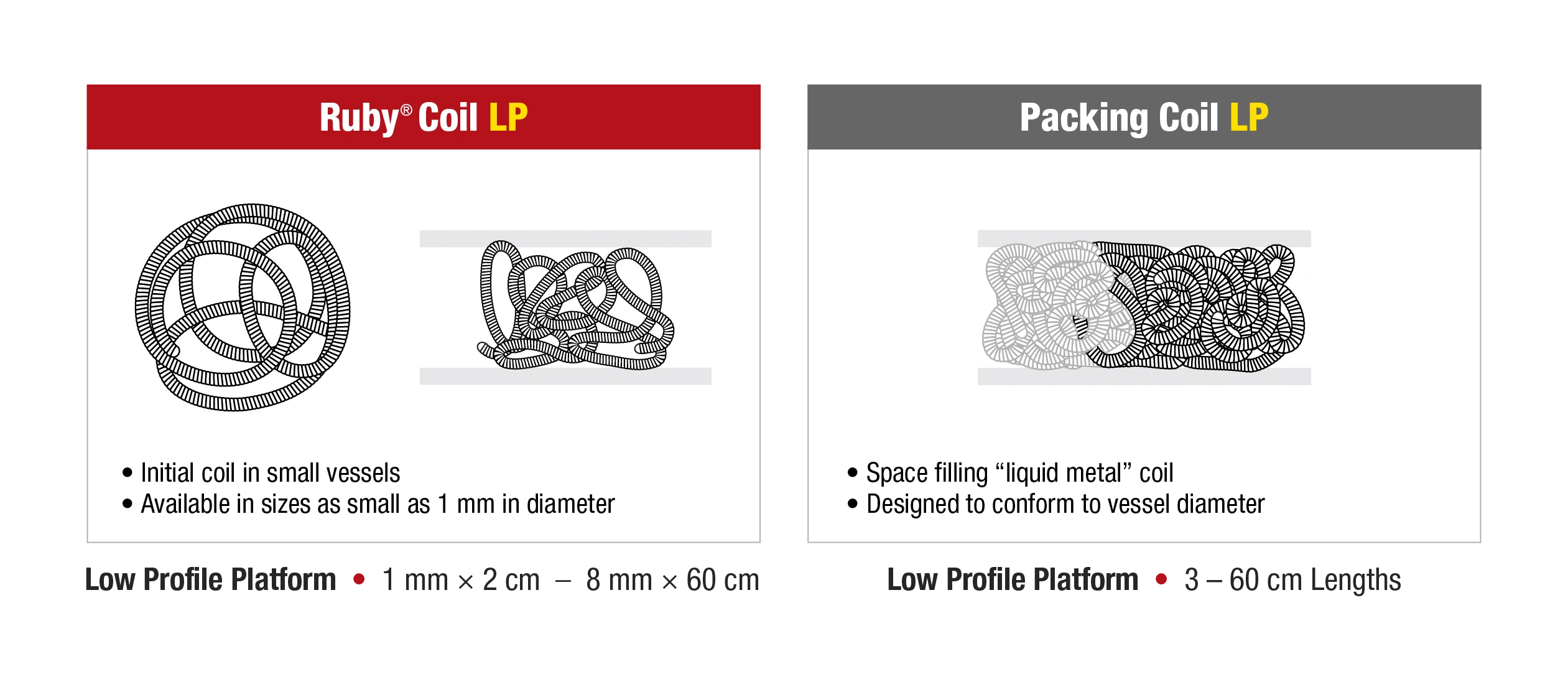 LP Coil System Penumbra Inc