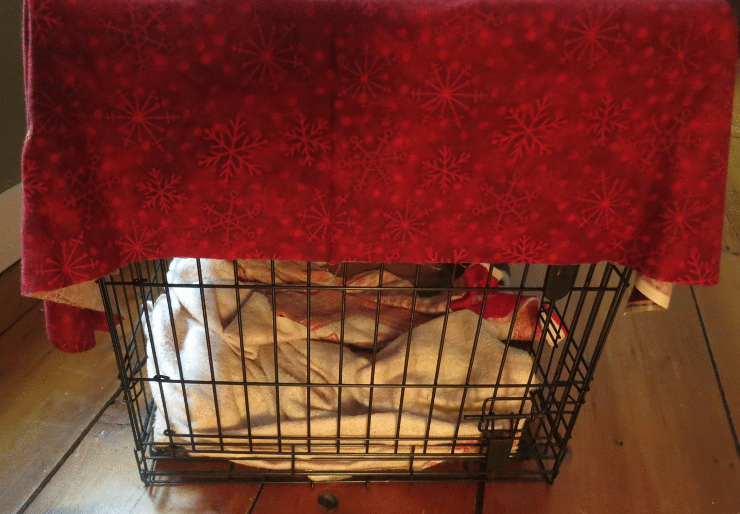 cratewithblanket PeopleSense Consulting