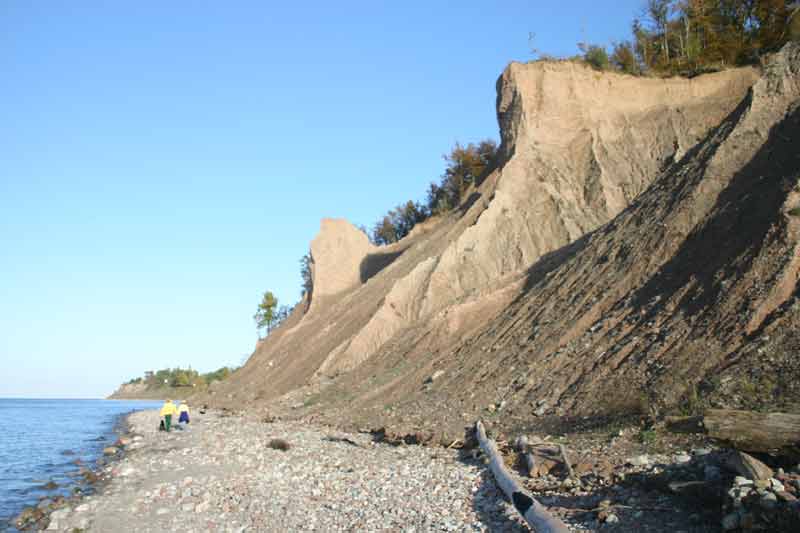 The Bluffs