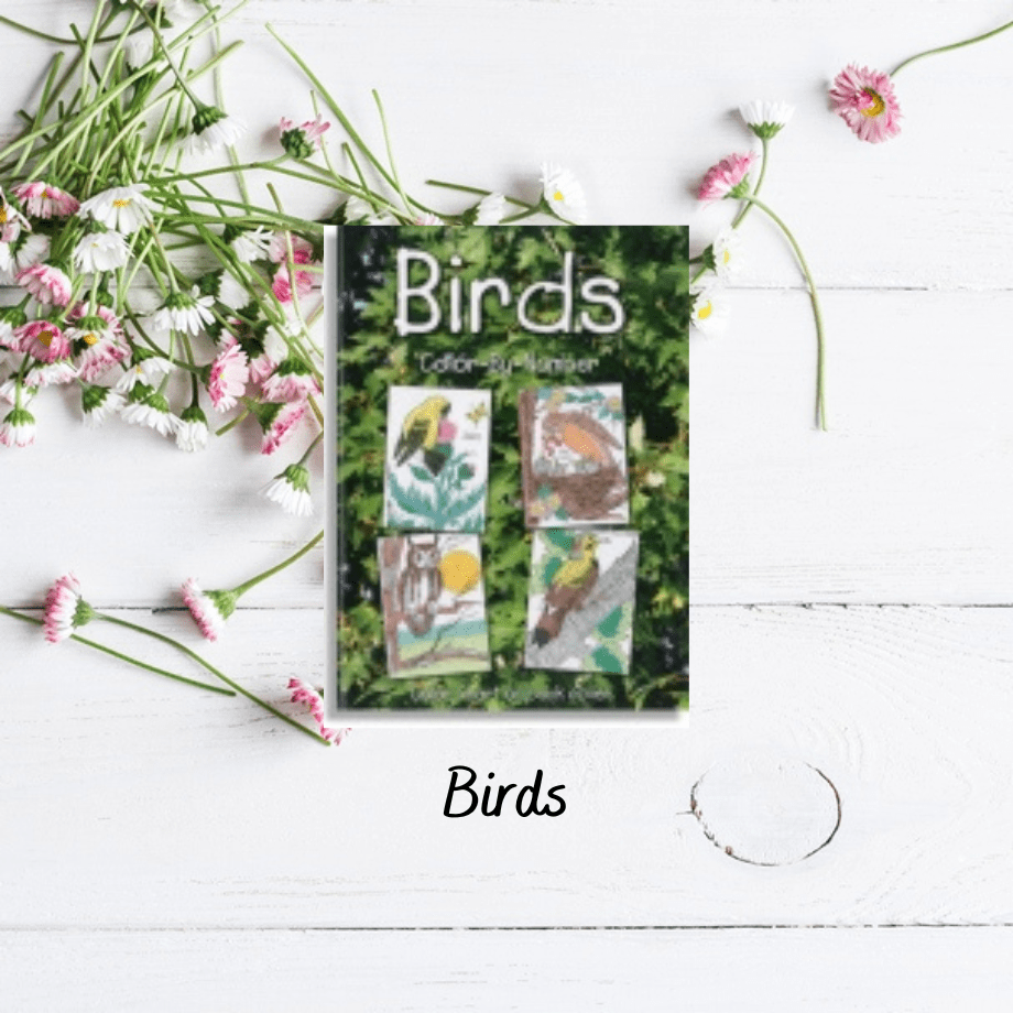 Bird Activity Book Peppermint Stick Learning Company