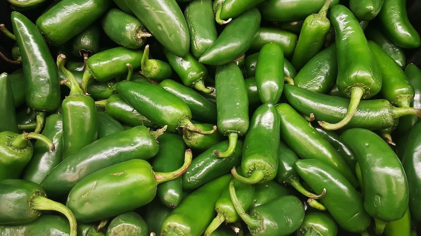 Jalapeño Pepper Guide Heat, Flavor, Pairings, And More