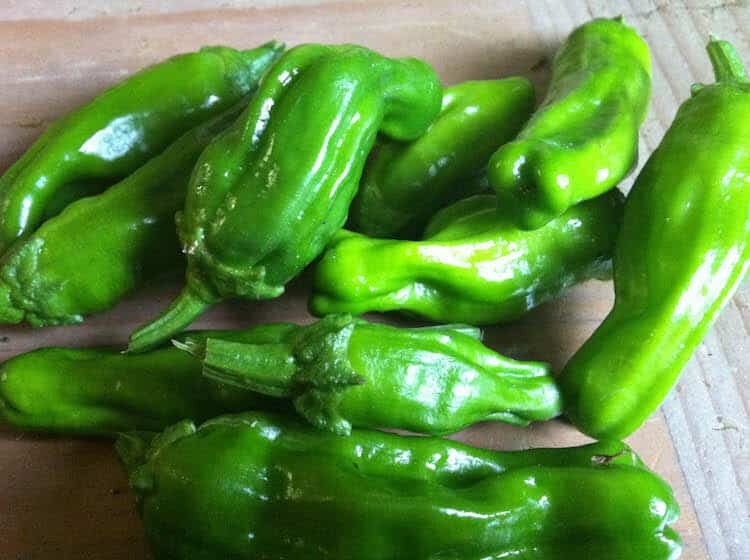 What's The Best Shishito Pepper Substitute? PepperScale
