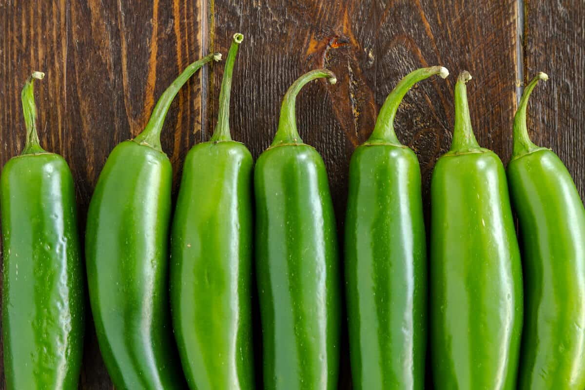 The Serrano Pepper Planting Guide A To Zing PepperScale