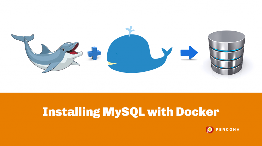 Installing MySQL with Docker Percona Database Performance Blog
