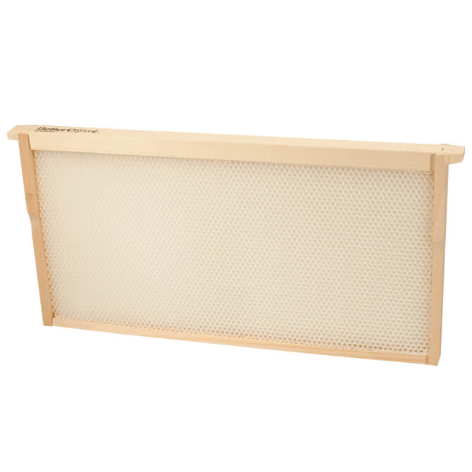 Synthetic Comb and Frame PerfectBee