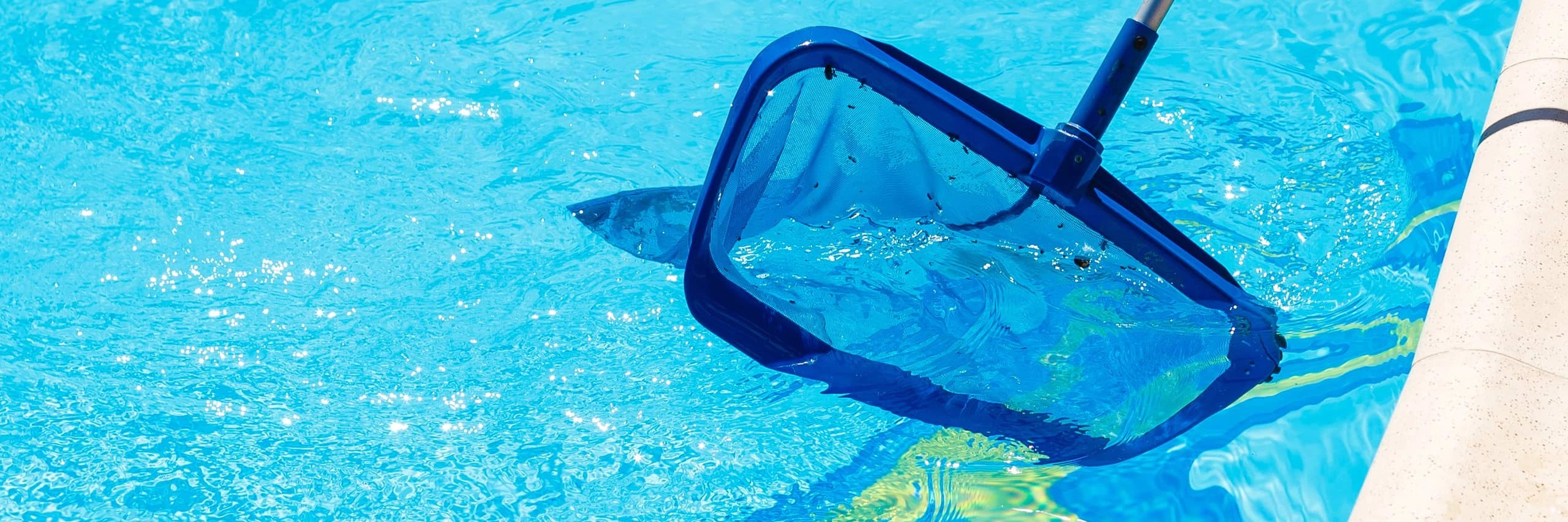 Top Reasons To Hire A Professional Pool Service Company
