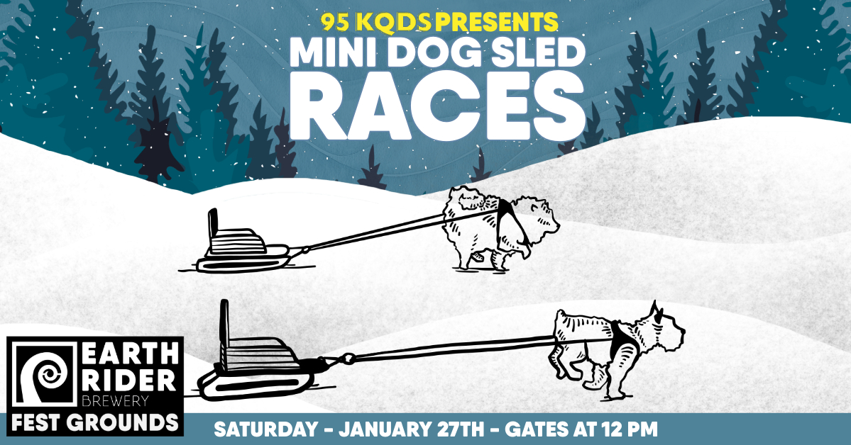 KQ Mini Sled Dog Races Perfect Duluth Day