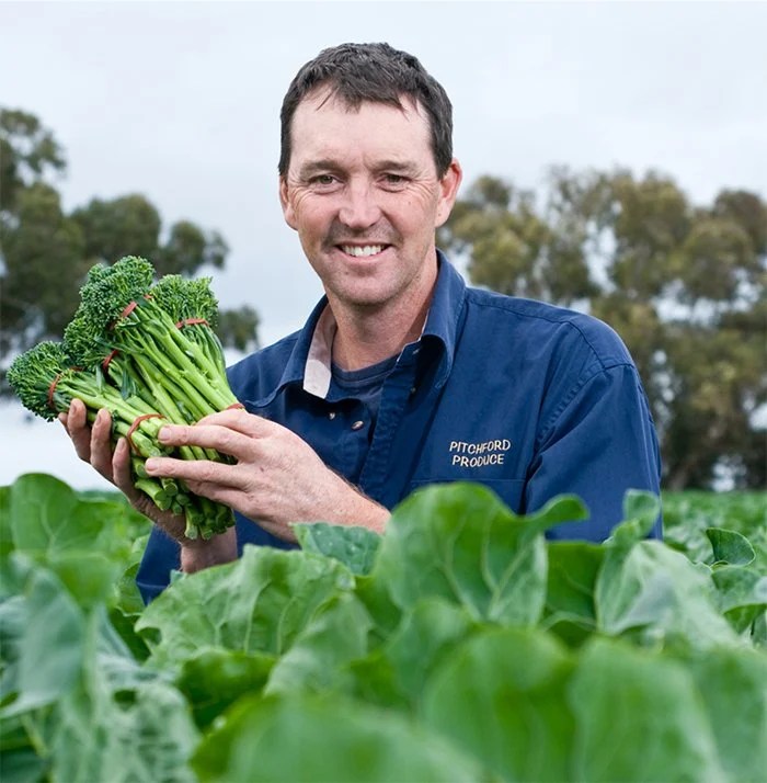 Sweet, tender and entirely edible Broccolini Perfection Fresh Australia