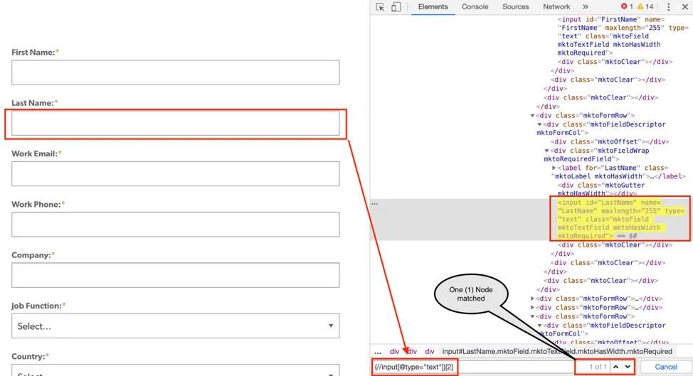 What is XPath in Selenium? How to Write XPath in Selenium Perfecto