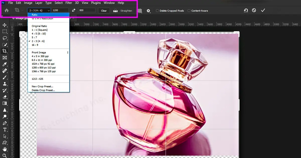 How to Change Canvas Size in Fast & Easy