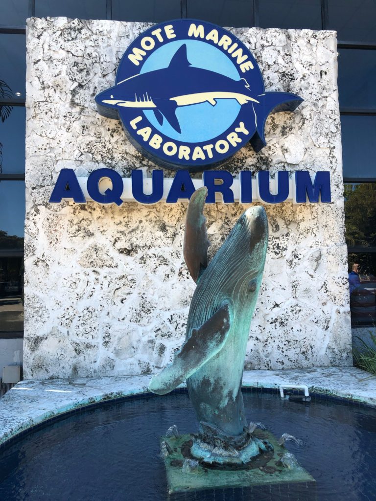 Mote Marine Laboratory and Aquarium, Sarasota Florida Family Travel