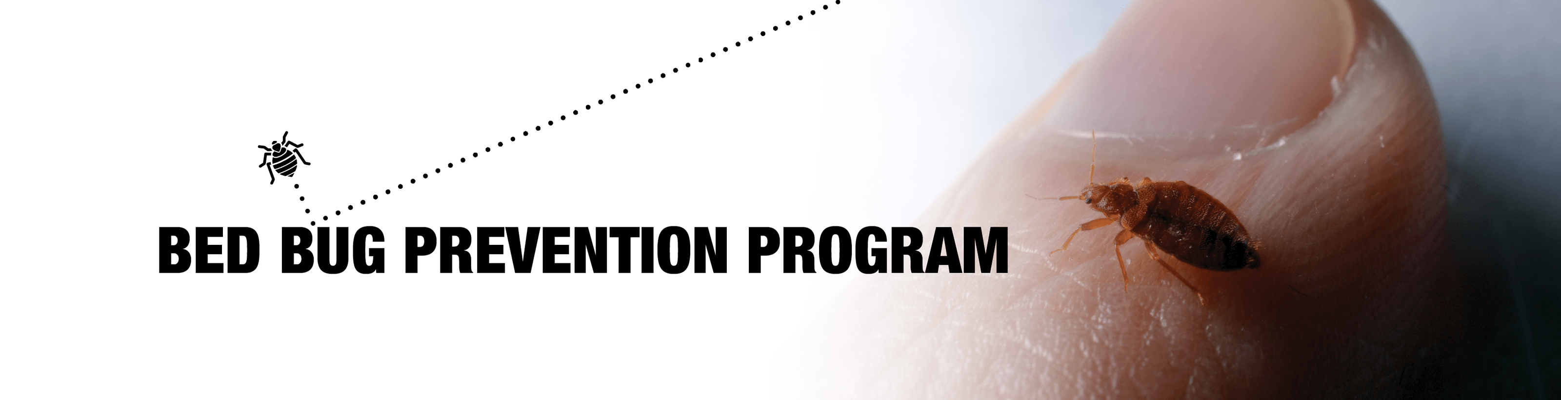 Bed Bug Prevention Program Perimetek Pest Mgmt., Corp
