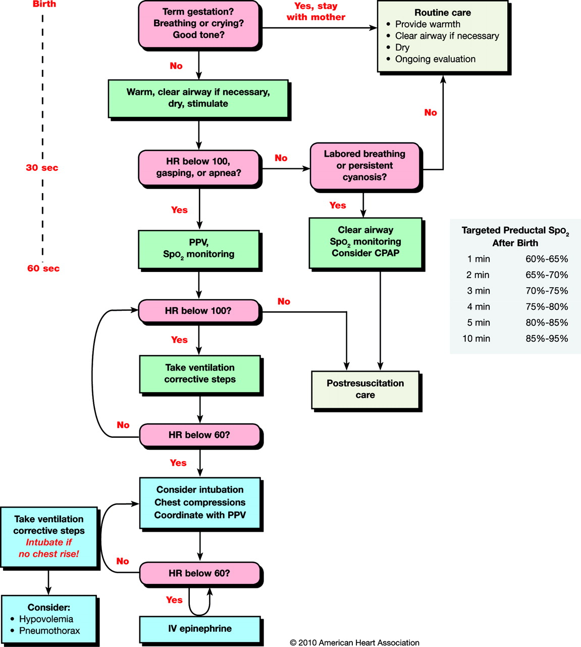 RESUSITASI NEONATUS IDAI EPUB (Pdf Plus.)