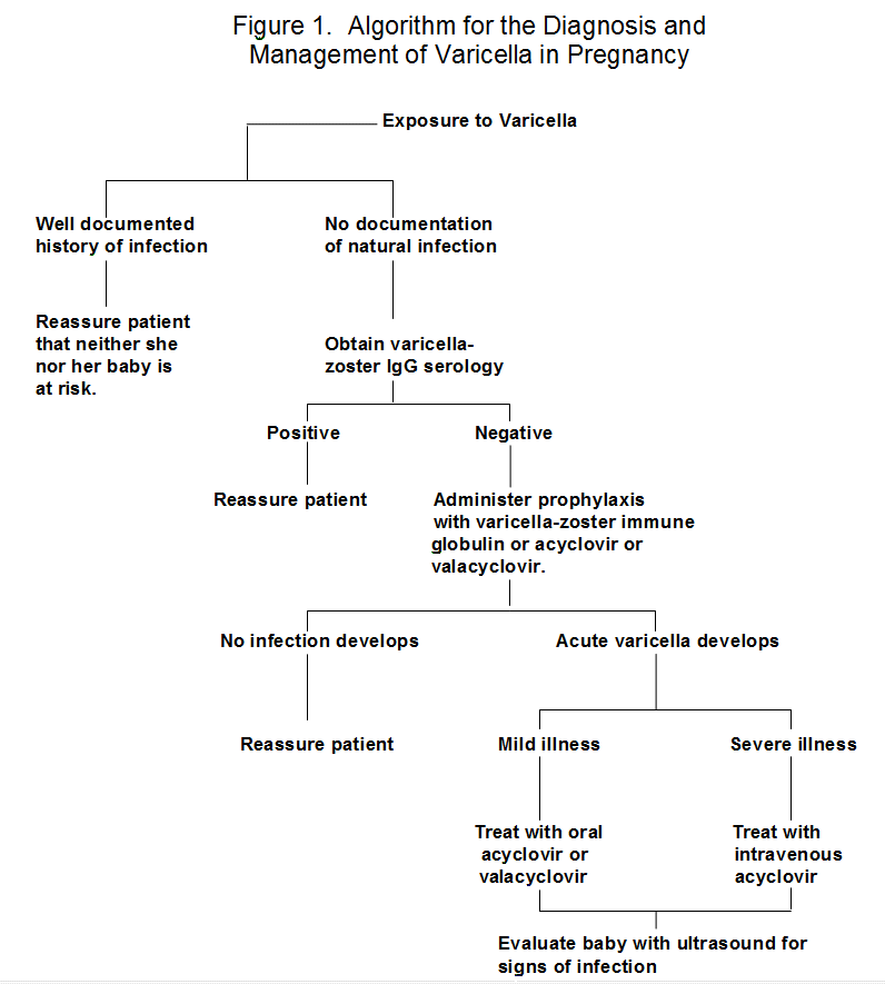 Diagnosis And Management Of Varicella Infection In Pregnancy